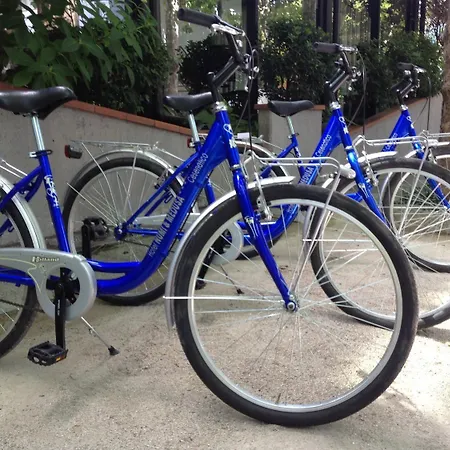 Numi & Medusa チェゼナーティコ