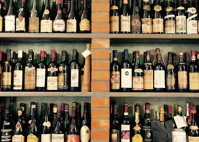 Hotel Numi & Medusa Cesenatico