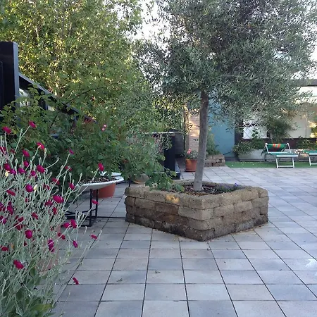 Hotel Numi & Medusa Cesenatico