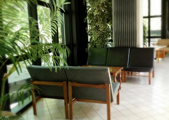 Numi & Medusa تْشيزيناتيكو