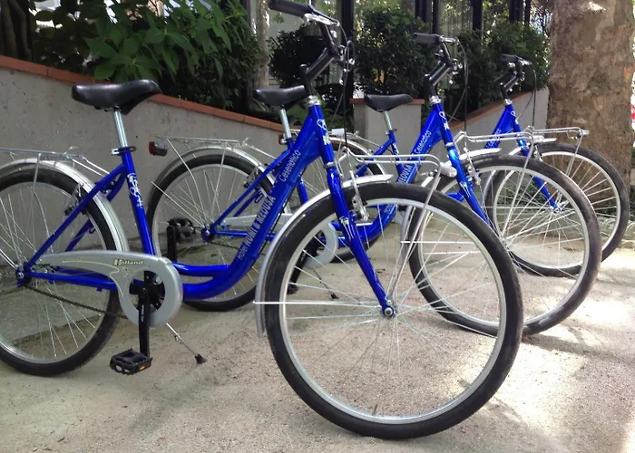 Numi & Medusa تْشيزيناتيكو